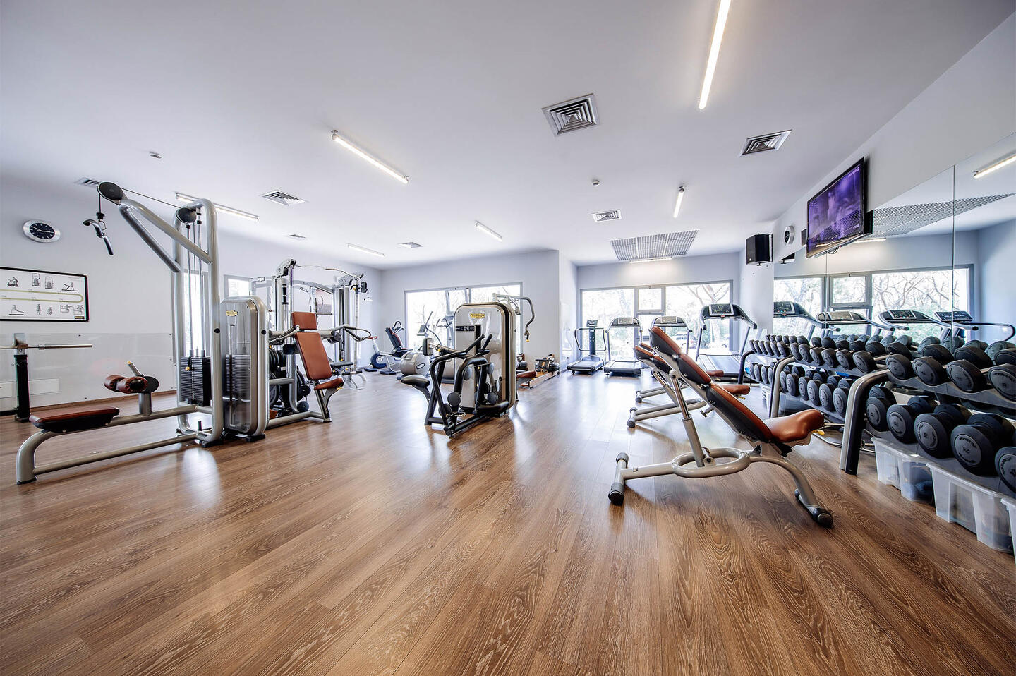 87.11d52585cf68cdbe84940faf589a4ba0